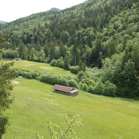 Kleine Einfache Ferienwohnung In Malerischer Umgebung Salzburgs Koppl Exterior foto