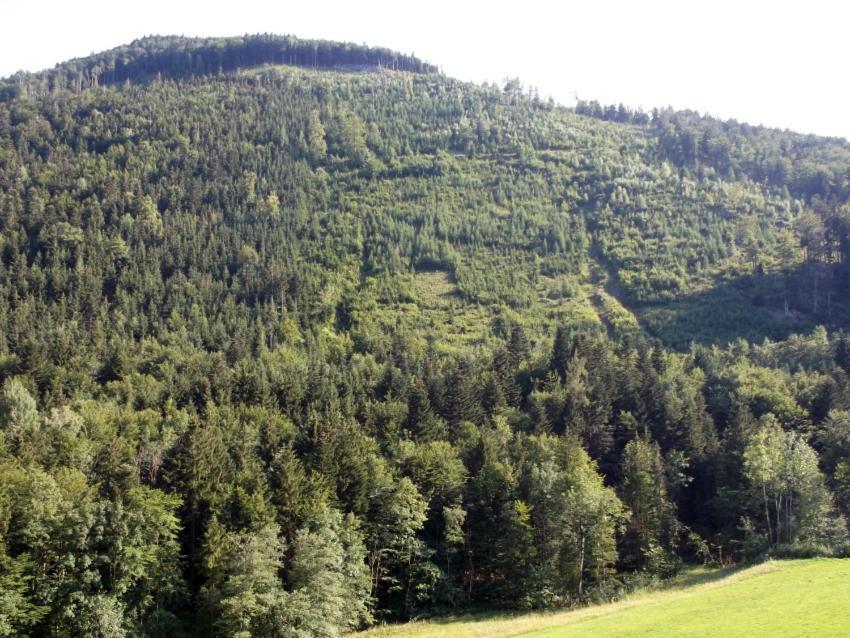 Kleine Einfache Ferienwohnung In Malerischer Umgebung Salzburgs Koppl Exterior foto