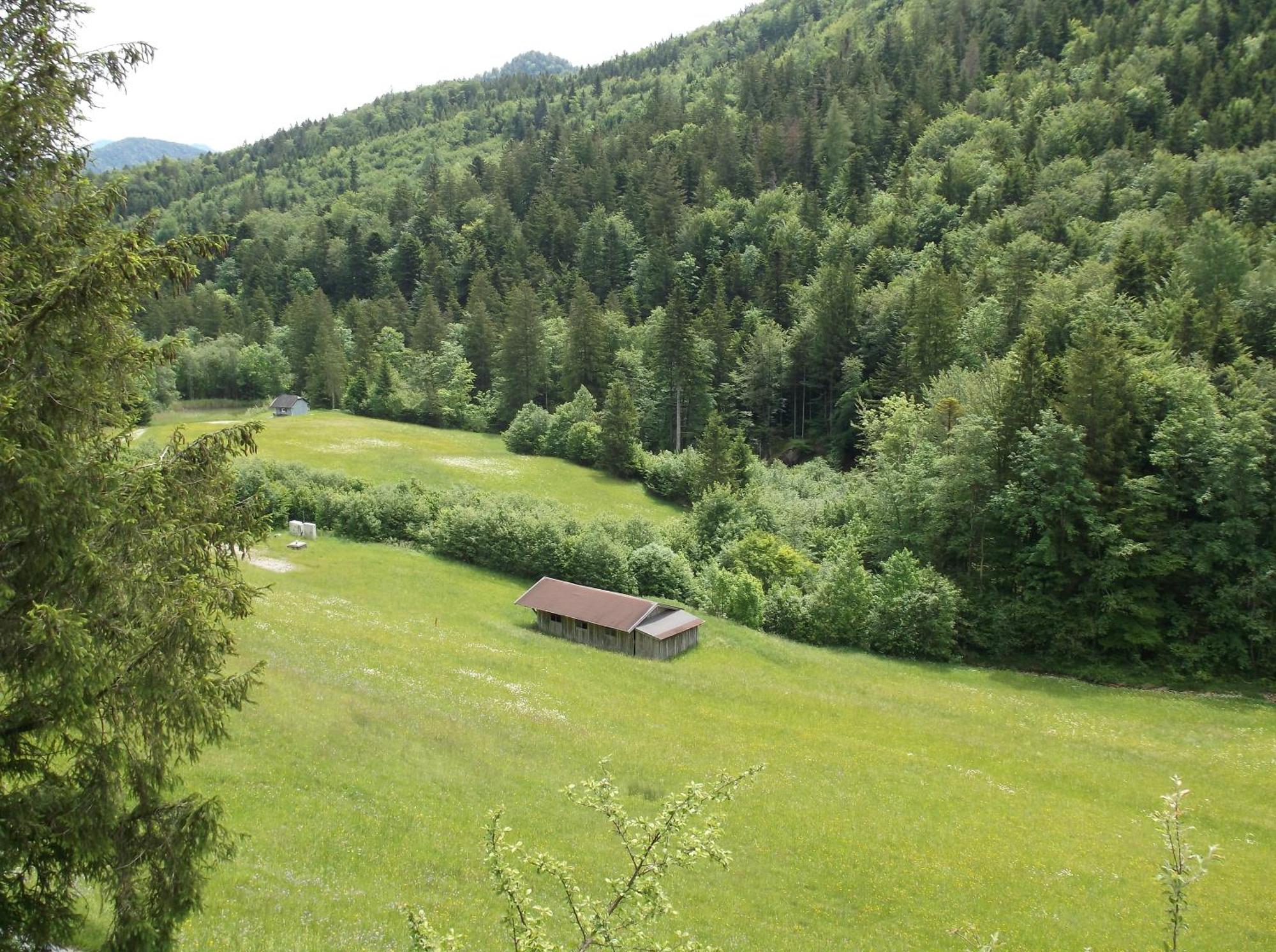 Kleine Einfache Ferienwohnung In Malerischer Umgebung Salzburgs Koppl Exterior foto